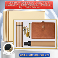Ensemble Cadeau d'Entreprise OEM ODM : Mug Intelligent avec Affichage de Température, Carnet, Stylo Dragon, Parapluie, Clé USB – Logo Personnalisé