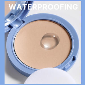 Palette de poudre pressée Maycheer en stock Offre Spéciale cosmétique poudre pour le visage compacte mate résistante à l'huile longue durée - Product Image 2