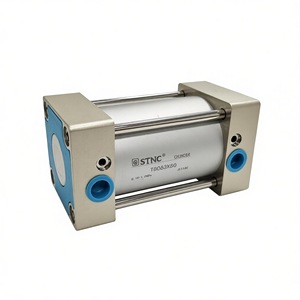 Cilindro Neumático Stnc Tgc63x50 Tgc63x100 Tgc63x150 Tgc63x200, Cuerpo de Aluminio, Tipo Amortiguado, Cilindro de Palanca - Product Image 3