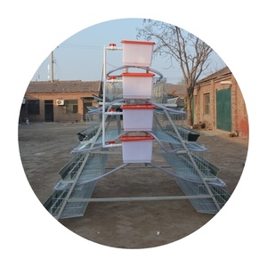 Giá Tốt Nhất Một Loại Lớp Gà Lồng Trứng Lớp Gia Cầm Pin Lồng Coop Nuôi Thiết Bị Gà Coop Cho Đẻ Gà - Product Image 2