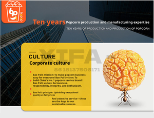 Mezclador Automático <span class=keywords><strong>de</strong></span> Recubrimiento para Polvo <span class=keywords><strong>de</strong></span> <span class=keywords><strong>Palomitas</strong></span> <span class=keywords><strong>de</strong></span> Maíz |   Máquina para Sazonar Aperitivos <span class=keywords><strong>en</strong></span> Vasos - Product Image 4