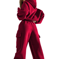 Ensemble sweat-shirt tricoté anti-boulochage à manches longues pour femme, nouvelle mode hiver, avec capuche et fermeture éclair frontale, doublé, style sportif