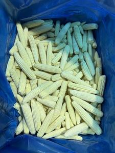 Maíz Entero Congelado IQF de Súper Calidad, Amarillo/Blanco, 100% Natural, Grado 50kg, Enjay Marketing, a Granel, Certificado HACCP, Saludable <span class=keywords><strong>2</strong></span> - Product Image 4