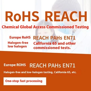 Chúng tôi Amazon đồ trang sức RSL báo cáo EU chứng nhận cho chì hóa chất Phthalate thử nghiệm-chất lượng cao giá thấp nhanh 1-3 ngày - Product Image 4