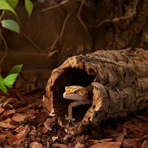Tube en liège pour reptiles, tunnel cachette pour terrarium, support pour orchidées, tube en liège pour amphibiens et décoration végétale - Product Image 5