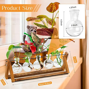 HOT Plant Terrarium With Wooden <b>Stand</b> 5 Bulb Vase Desktop Propagation Stations for Hydroponics Plants Office Home Garden Decor - Product Image 4