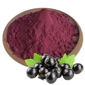 Best Selling Produtos Black Groselha Fruit Sabor Juice Concentrate Powder