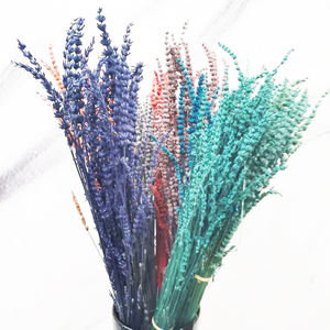 Flora — <span class=keywords><strong>bouquet</strong></span> de fleurs décoratives, 1 <span class=keywords><strong>bouquet</strong></span> de fleurs naturelles, stable, coloré, lavande, vente en gros, été - Product Image 3