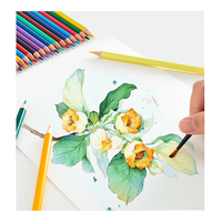 Couleurs de qualité dans un ensemble de crayons aquarelle en bois standard plus doux 48/72/120 avec impression personnalisée pour artistes expérimentés