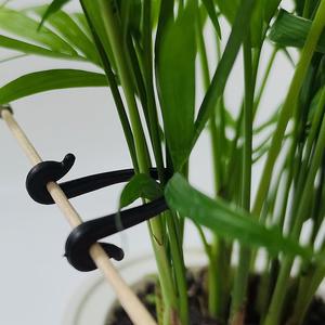 C97 50pcs Cravate Plastique pour Plantes de Jardin Vigne Jardinage Fixation Ligne Boucle Plante <span class=keywords><strong>Support</strong></span> Cravate Rotin Escalade Pots De Fleurs Jardinières - Product Image 6