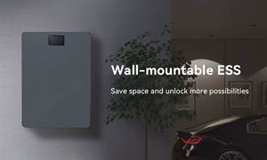 Batterie solaire LiFePO4 51,2 V 300 Ah 15,36 kWh, montage mural, stockage d'énergie domestique, hors réseau, hybride - Product Image 3