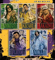 Cartes de collection One Piece Anime Japonais, cartes d'art Nami Boa Hancock, cartes à collectionner limitées, cartes à jouer, jeux de société, jouets, cadeaux