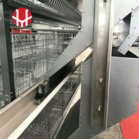 Système de cages en H pour élevage avicole avec élimination automatique du fumier, collecte des œufs et alimentation pour poules pondeuses commerciales en fil d'acier