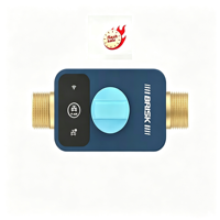 Détecteur de fuite d'eau 433 avec sonde filaire/sans fil, capteur d'alarme de détection de fuite d'eau, vanne d'arrêt automatique