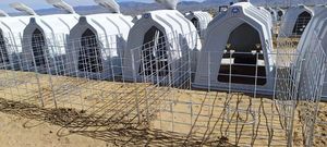 Huche de veau d'équipement de bétail avec de grandes fenêtres arrière pour la circulation d'air et la conception de bord arrondi - Product Image 4