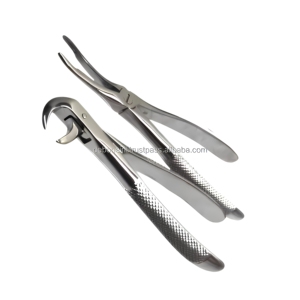 Pinzas de Extracción Dental American Pattern de Acero Inoxidable para Premolares, Instrumentos Quirúrgicos, Proveedor Mayorista - Product Image 4