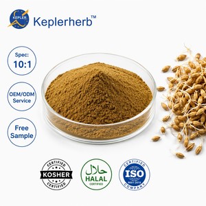 Extrait de malt d'orge 10:1, <span class=keywords><strong>Hordeum</strong></span> Vulgare, TLC, riche en maltose, qualité alimentaire, matière première, supplément pour brassage, OEM, en vrac - Product Image 1