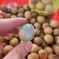 Biologische verse Longan vruchten Vietnam Dunne schil Sappige vruchtvlees Lange houdbaarheid 60 dagen Koel opslag 100% natuurlijk Klaar om te eten VietGAP