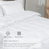 Couette de luxe en coton OEKO pour hôtel, taille King, toutes saisons, avec insert intérieur, également disponible en taille Queen, personnalisable, matelassée
