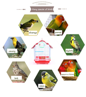 Nouvelles cages à oiseaux chinoises 2026 – Grandes cages à perroquets de haute qualité en grillage métallique, en promotion