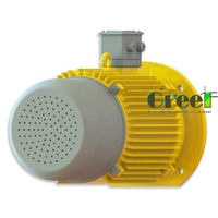 Dynamo à flux radial haute puissance 30 kW 250 tr/min pour éolienne à axe horizontal