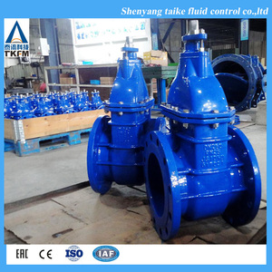 Hot bán 6 inch 6 "sơ đồ lớn Class 150 300 600 đĩa đôi API 6A nước Van cổng - Product Image 6