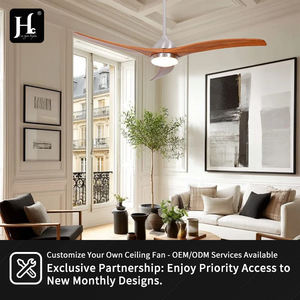 Ventilador de Techo con Luz Decorativa, Precio de Ventilador de Techo Eléctrico de Alta Calidad, Ventilador de Techo LED de Madera Simple Blanco - Product Image 5