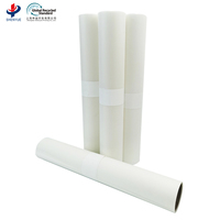 Rouleaux de film PET DTF à haute transfertabilité, mat, 30/60 cm, A3, pour vêtements, film de transfert thermique, matériau d'impression par transfert thermique pour vêtements