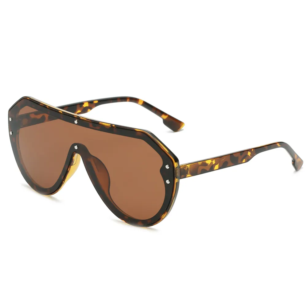 Fedrov High Quality Designer Retro Lens Glass Dark Fashionable Top Polarized PC Sunglasses