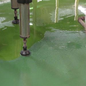 Pintura Ecológica a Base de Agua para Pisos de Hospitales y Almacenes - Product Image 2