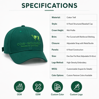 Casquette de baseball personnalisée EMPIRE PROTECTION de luxe avec lettres brodées, en sergé de coton noir structuré, 6 panneaux, réglable avec fermeture snapback