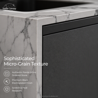 En acier inoxydable de haute qualité personnalisé extérieur armoire de cuisine combinaison évier sans fumée Barbecue Grill