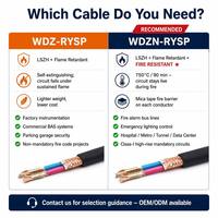 OEM Factory WDZ-RYSP LSZH Low Smoke Halogen Free Shielded Twisted Pair 90 Celsius Control Cable for Power Generation Facilities