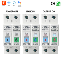 1-63A  2P  Meteran Energi  Relay Proteksi Kebocoran Tegangan Arus  Pemutus Sirkuit L+N Tuya Mcb Wifi Smart Circuit Breaker Rcbo