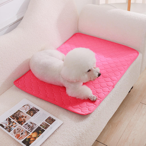 Tapis d'apprentissage personnalisé, réutilisable, lavable, imperméable, antidérapant, hygiénique et respirant en maille pour chiens et chats, imprimé, été - Product Image 6