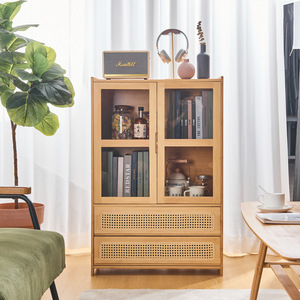 Zhumei Residence Modern Minimalist <b>Acrylic</b> Rattan Bookcase With Doors Freestanding Storage Cabinet For Living Room Home Use - Product Image 3