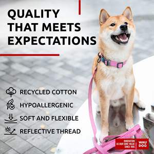 Collar para Perro Waudog, de Nailon Acolchado con Cierre de Hebilla, Talla Pequeña, para Todas las Estaciones, Estilo Moderno, Accesorio para Mascotas Caninas - Product Image 5