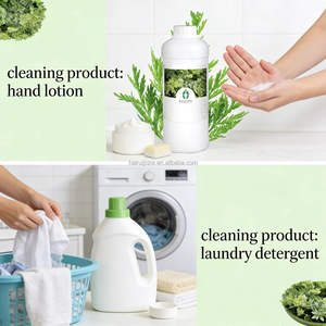 Fournir un échantillon gratuit d'<span class=keywords><strong>huile</strong></span> <span class=keywords><strong>essentielle</strong></span> pure à 100%, naturelle, biologique, écologique, aromathérapie, <span class=keywords><strong>huile</strong></span> d'artémisia annuae pour <span class=keywords><strong>diffuseur</strong></span> de parfum - Product Image 4