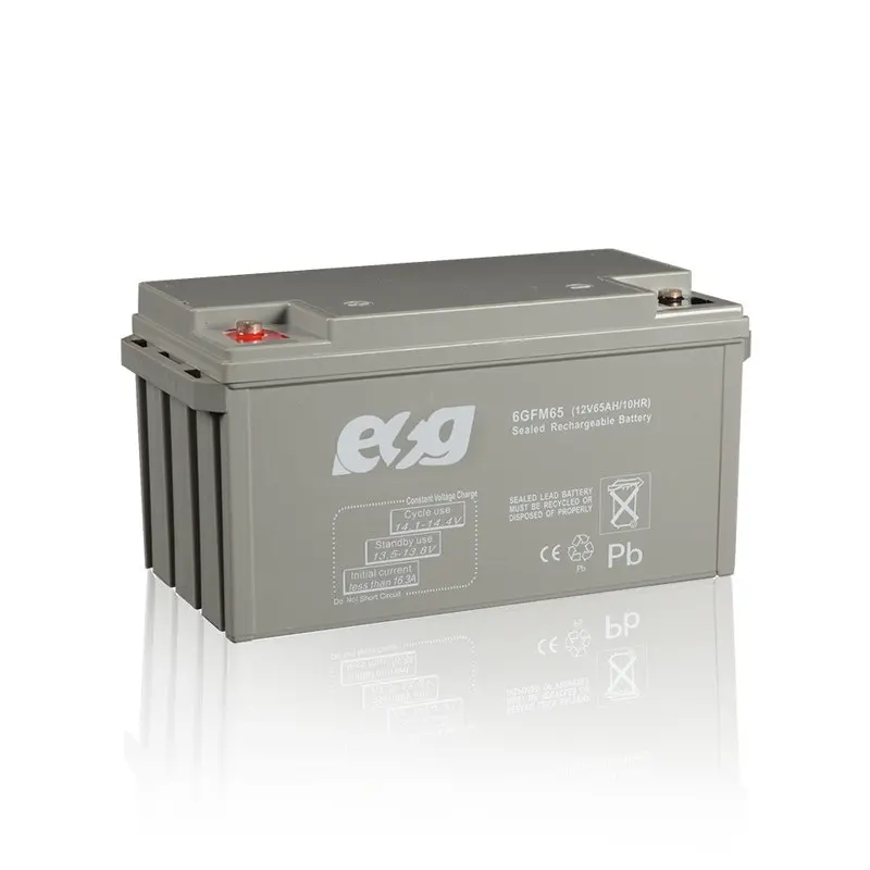 ESG 12 v24ah 12 v26ah 40AH 50AH 60AH 65AH batterie al piombo senza manutenzione caricabatterie a secco al carbonio prezzo della batteria AGM