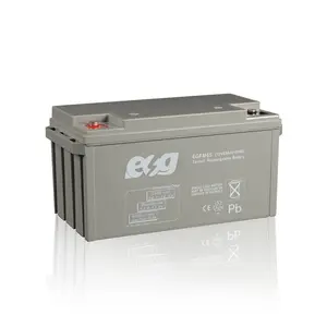 ESG 12V24AH 12v26Ah 40AH 50AH 60AH 65AHメンテナンスフリー鉛蓄電池カーボンドライ充電器AGMバッテリー価格