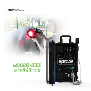 PEMF hewan perangkat Terapi magnetik untuk kuda anjing Equine manajemen nyeri <span class=keywords><strong>Laser</strong></span> dingin peralatan kesehatan profesional - Product Image 3