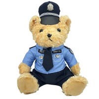 Ours en peluche personnalisé avec capuche, logo OEM, mascotte en peluche, jouets en peluche sur mesure pour cadeaux promotionnels