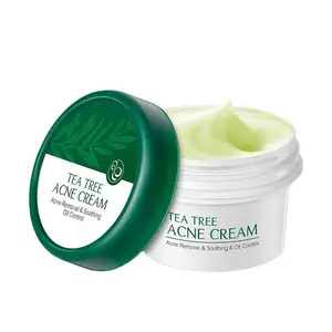 Crème hydratante biologique anti-acné pour les soins de la peau coréens Crème biologique blanchissante pour le visage contre les boutons d'arbre à thé et les taches sombres