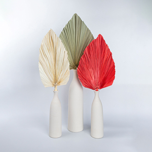 2022 Chaud Naturel Plante Sèche Tropical Spear Palm Variété Couleur Feuilles De <span class=keywords><strong>Palmier</strong></span> Séchées Feuilles De <span class=keywords><strong>Palmier</strong></span> Séchées Fleurs De Mariage - Product Image 4