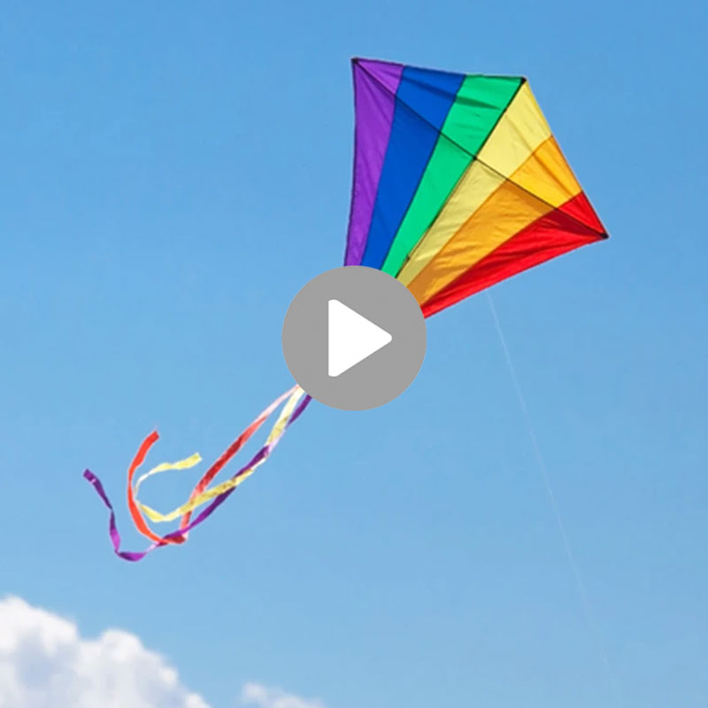 ML03 Лидер продаж, Сертификат ISO, нет минимального профессионального гигантского воздушного змея, завод из Китая