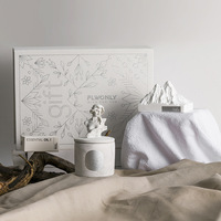 Ensemble cadeau de bougies parfumées de luxe OEM, emballage personnalisé, décoration d'intérieur, tablette de cire de gypse, parfum d'ambiance