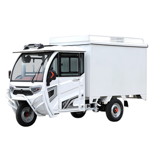 Haute qualité personnalisé à trois roues adulte électrique Cargo <span class=keywords><strong>Jet</strong></span> <span class=keywords><strong>Ski</strong></span> longue portée tricycle électrique au prix d'usine - Product Image 5