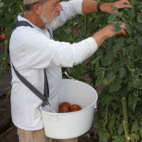 Cesta de Plástico PP Resistente con Correa para Recolección de Frutas, Bayas, Frambuesas y Moras para Uso Agrícola