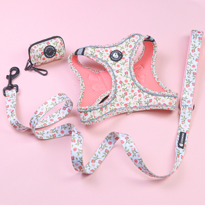Arnés para Perro de Diseño Personalizado Popular con Collar, Correa, Lazo y Pañuelo a Juego, Fabricante de Arneses de Neopreno para Perros - Product Image 1