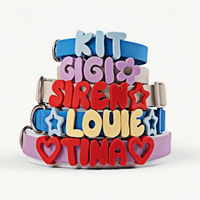 Ensemble collier et laisse pour chien en PVC personnalisé de luxe, coloré, imperméable, doux, avec lettres et breloques DIY